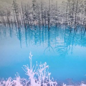 Meet your Posher, Edith